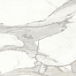 Invictus Natural 80x80 Baldocer