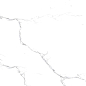 R_PR2003 Unico White Polished 60x120 Royce