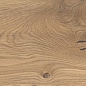 AX5U Log Icon Oak Forest Matte 20x180 Atlas Concorde