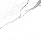 NR235 Dalim White Матовый 60x120 PrimaVera