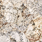 0006320 NOBILE BLANC DU BLANC RETT 60x120 Ariana