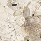 774671 Nature Mood Tundra Comfort 80x180 Casa Dolce Casa