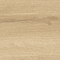 41726 Bloom Honey SP/24x151x0,9/R 24x151 Peronda
