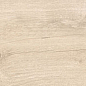 Dixie Almond 20x120 Geotiles