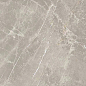 766528 Elemental Grey Dolomia Luc Ret 60x120 Cerim