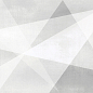 WT9SHG00 Shape Geometric White 24.9х50 AltaCera