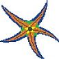 SD-117 Porcelain Mosaic Design Starfish 1 5x5 (420x390) Serapool