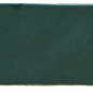 MAYFAIR VERT compacglass 6.5*20 Pamesa