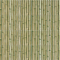 Bamboo Green 30x15 Mainzu