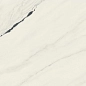 610015000656 Forte dei Marmi Panda White Rett Cer 60x120 Atlas Concorde Russia