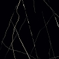 Nero Marquina HG 60x60 Casati Ceramica
