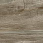 GFA92WDW44R Wonderwood 200x900x9 Alma Ceramica (Уралкерамика)