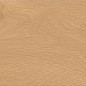 A842 Entice Pale Oak Natural Grip R11 20x120 Atlas Concorde