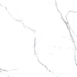 R_PR2003 Unico White Polished 60x120 Royce
