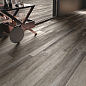 SHINE BEIGE RET. 20x120 Cerdomus