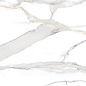 Antique Satvario White Carving 120x60 Bluezone