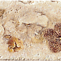 Listello Travertino 5x20 Serenissima Cir