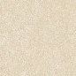 766611 Elemental Cream Sandstone Nat Ret 30x60 Cerim