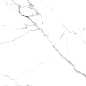 R_PR1001 Calacatta Venatino Polished 60x60 Royce