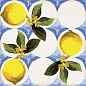 Giardino Bianco Mix Luc 20x20 Sant Agostino