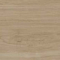 Alessandria Arce 19.5x120 Prissmacer