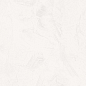 60120ITO00 Intro Sugar 600x1200x9.5 Delacora
