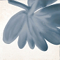 M9JA Rice Bianco Decoro Blossom Lux 15х15 MARAZZI Italy
