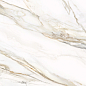 D12054M Omega Gold 1200x600x9.5 Delacora