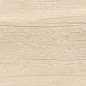 Dixie Almond 20x120 Geotiles