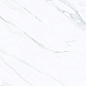 P176496 Narnia Polished 60x120 Pardis Ceramic Pazh