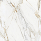Calacatta Oro Glossy 60x120 Modern Tile