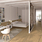 World Woods VIVES