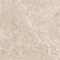 141738 Mythology Regia Beige Brushed Rect 120x278 Monocibec фото в миниатюре