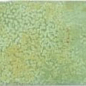 123146 MOSS 5x25 DNA Tiles