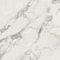 610010002749 Микеланджело Колд 60x60 ColiseumGres