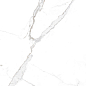 Statuario Brown Glossy 60x120 Modern Tile