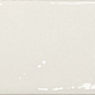 135399 Mediterraneo Sal Gloss 7x28 DNA Tiles