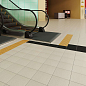 Avenue Lines Estima