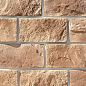 Шале 13-05 рядовая 320х160х25 Ecostone