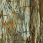 Arty Brown High gloss 60*120 Art Ceramic