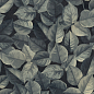 PF60008438 Foliage Ret 60x120 ABK