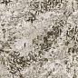 MN627BP271206 Frozen Fox Polished 6mm 120x270 Moreroom Stone