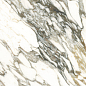 25913 MACCHIA VECCHIA/100X100/P Peronda