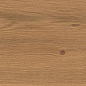 AX5X Log Amber Oak Matte 20x180 Atlas Concorde