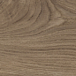 41729 Bloom Cognac SP/24x151x0,9/R 24x151 Peronda