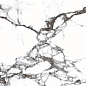 CR103 Blanco Tranco carving 600х600х9 PrimaVera