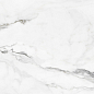 Insignia White Pulido 60x120 Colorker