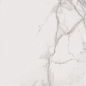 SP6110P SUPREME ROYAL STATUARIO ANT 60x120 Flaviker