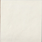 A036708 Contemporary Coconut Milk 15x15 Ape Ceramica фото в миниатюре