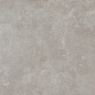 P012049 YS Light Grey Rett 60x120 Pastorelli фото в миниатюре